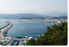 대진항